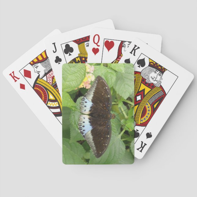 Cartas de juego de mariposa tropical bonito (Reverso)