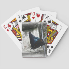 Cartas de juego de Memoria de Mariposa
