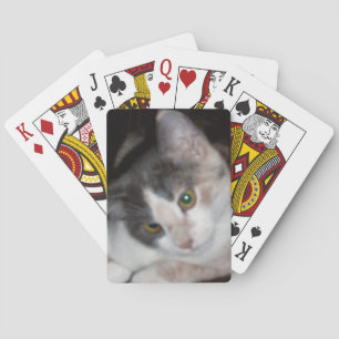 Cartas de juego de Meow Cats 17
