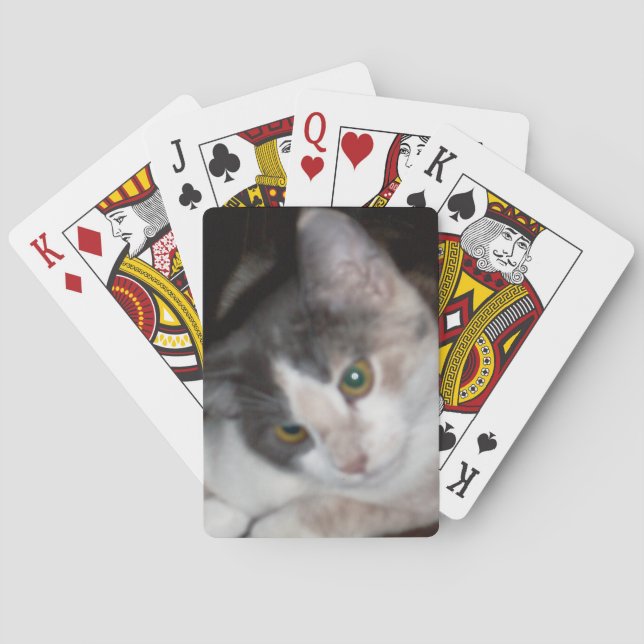 Cartas de juego de Meow Cats 17 (Reverso)