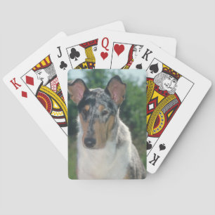 Cartas de juego de Merle Smooth Collie Dog