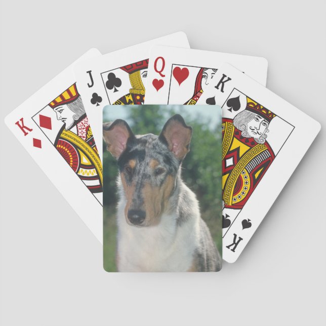 Cartas de juego de Merle Smooth Collie Dog (Reverso)