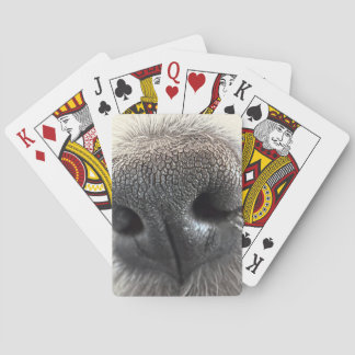 Cartas de Juego de Nariz de Cachorro Irresistible