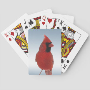 Cartas de juego de pájaros del cardenal rojo