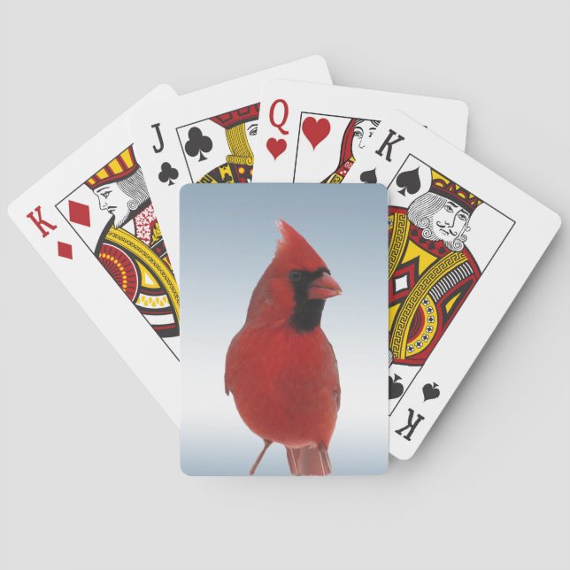 Cartas de juego de pájaros del cardenal rojo (Reverso)