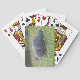 Cartas de juego de palomas durmientes