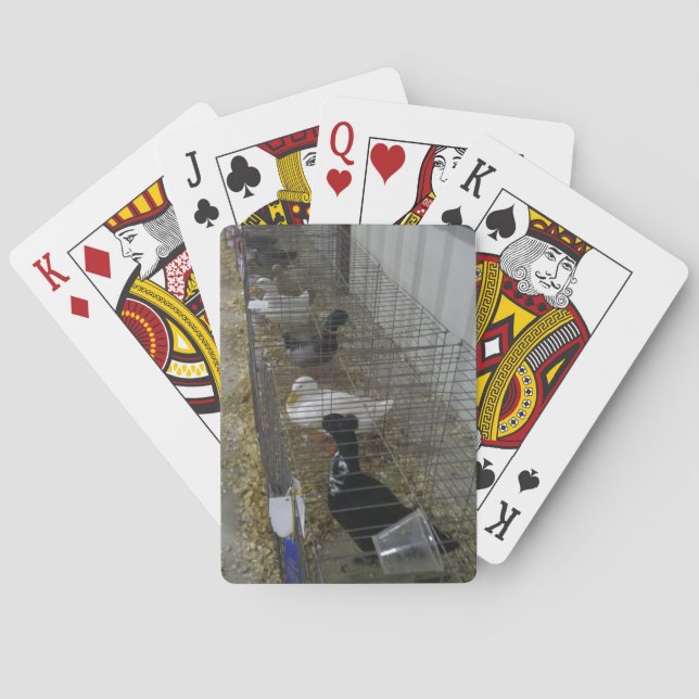 Cartas de Juego de Pato (Reverso)
