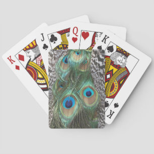 Cartas de juego de patrones de plumas de pavo real