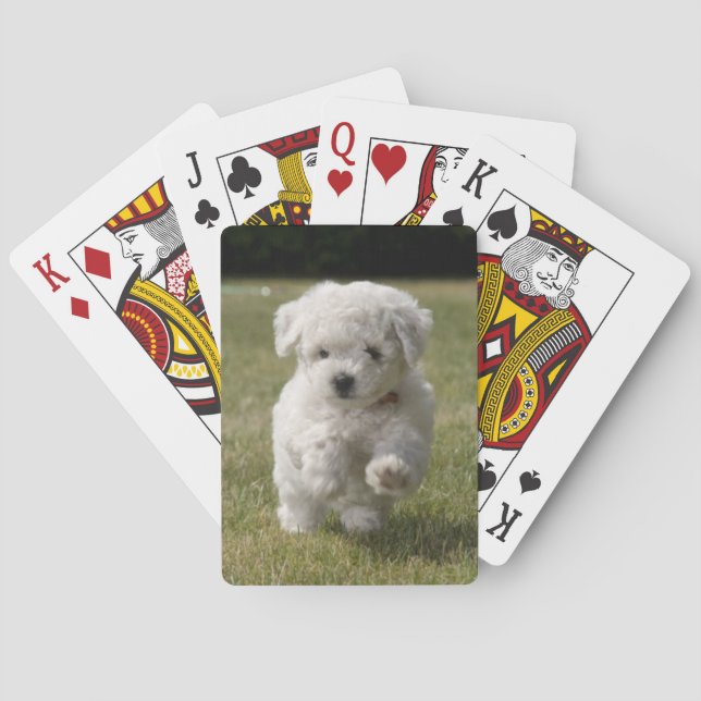Cartas de juego de perro de cachorro Bichon Frise (Reverso)