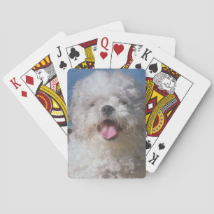 Cartas de juego de perro de caniche