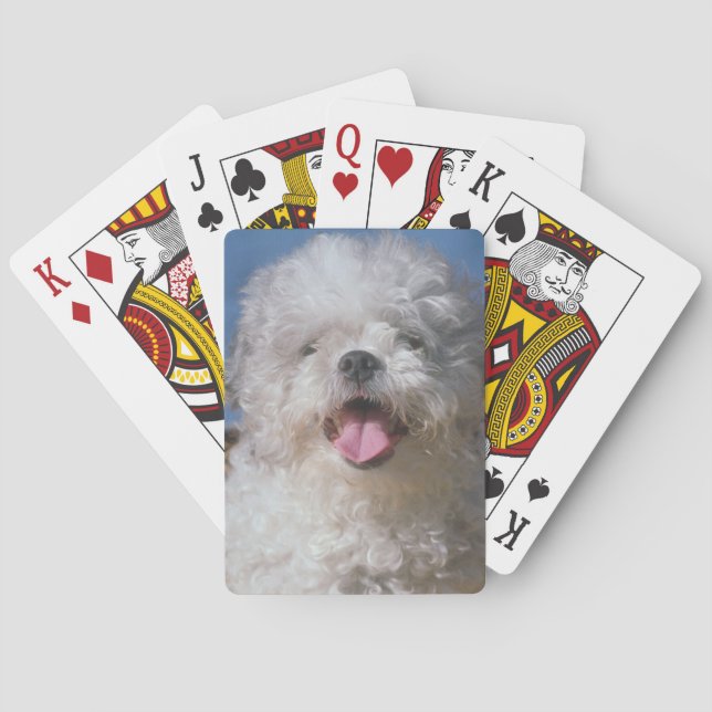 Cartas de juego de perro de caniche (Reverso)