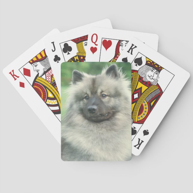 Cartas de juego de perro de Keeshond (Reverso)