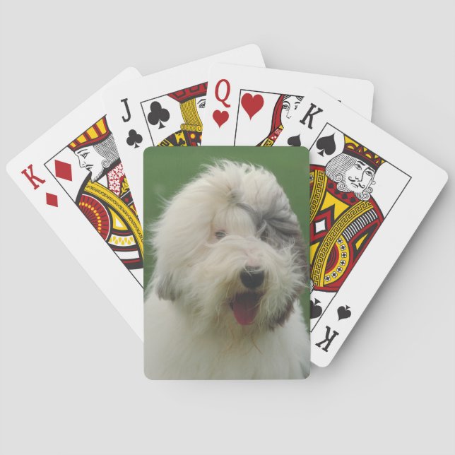 Cartas de juego de perro pastor inglesa (Reverso)
