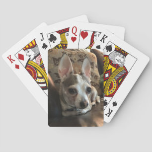 Cartas de juego de perros chihuahua