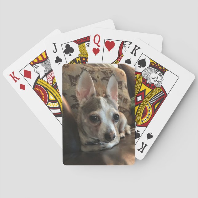 Cartas de juego de perros chihuahua (Reverso)