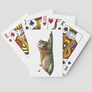 Cartas de juego de perros de raza mixta de Labrado