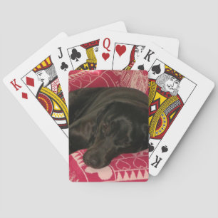 Cartas de juego de perros dormidos
