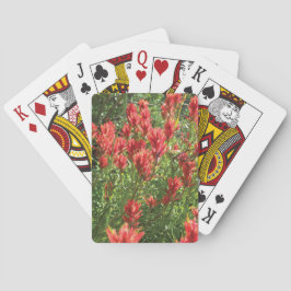 Cartas de juego de pincel
