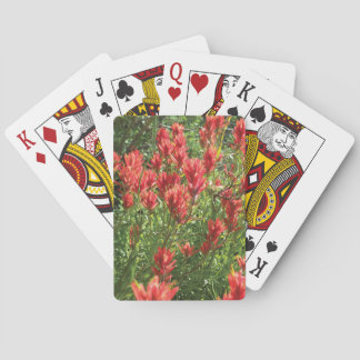 Cartas de juego de pincel