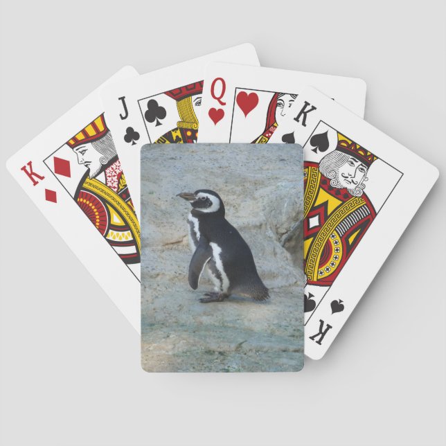 Cartas de juego de pingüino (Reverso)