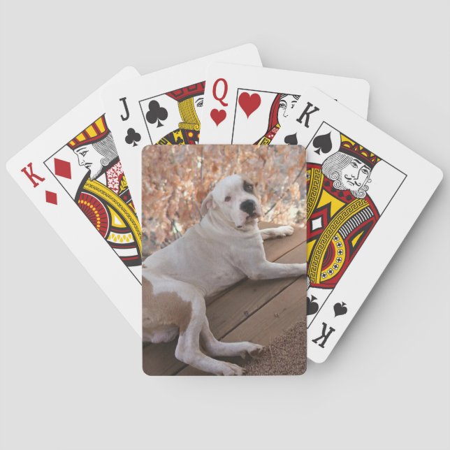 Cartas de juego de Pitbull Porch Dog (Reverso)