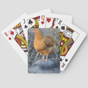 Cartas de juego de pollo
