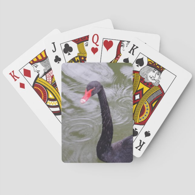 Cartas de juego de póquer Black Swan Bicycle® (Reverso)