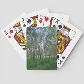 Cartas de juego de Quakies