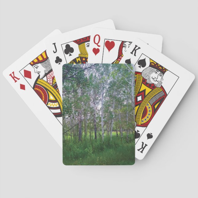 Cartas de juego de Quakies (Reverso)