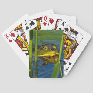 Cartas de juego de rana toro