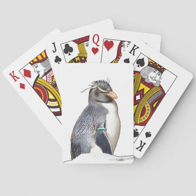 Cartas de juego de Rockhopper Penguin (Reverso)