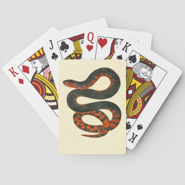 Cartas de juego de serpientes (Reverso)