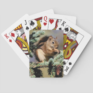 Cartas de juego de Squirell