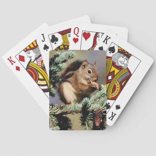 Cartas de juego de Squirell (Reverso)