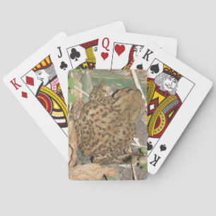 Cartas de juego de toallas comunes europeas
