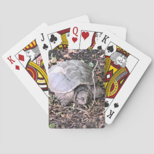 Cartas de juego de tortugas