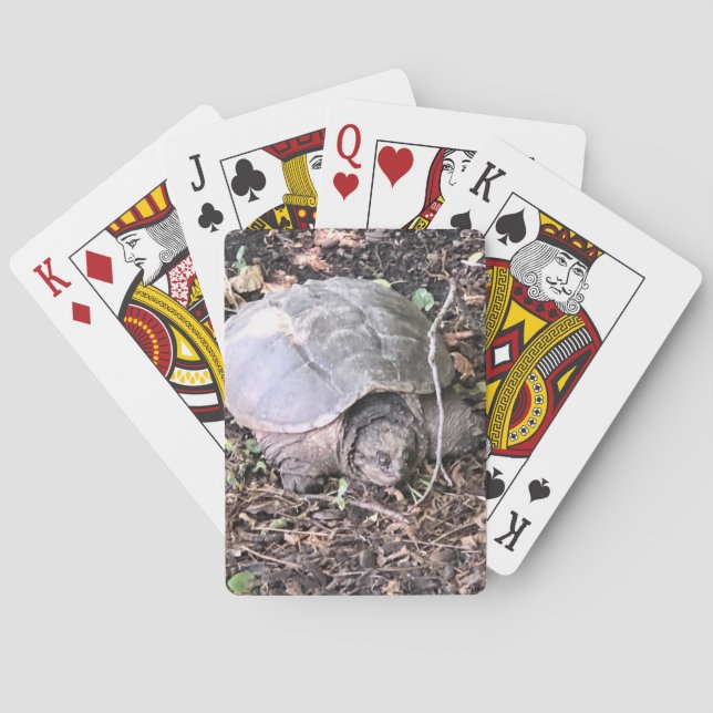 Cartas de juego de tortugas (Reverso)