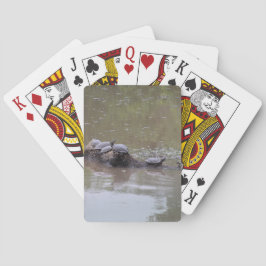 Cartas de juego de tortugas