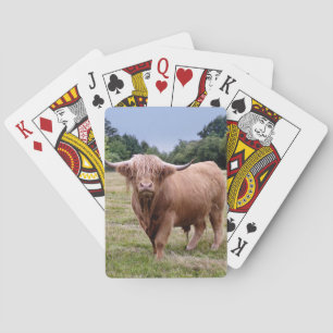 Cartas de juego de vaca de las Highlands