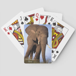 Cartas de juego de vida silvestre