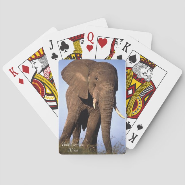 Cartas de juego de vida silvestre (Reverso)