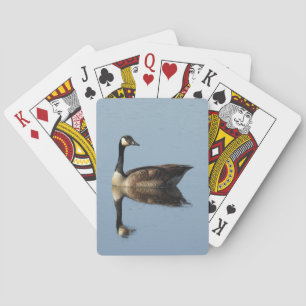 Cartas de juego de vida silvestre, ganso canadiens