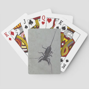 Cartas de juego de Vinegaroon