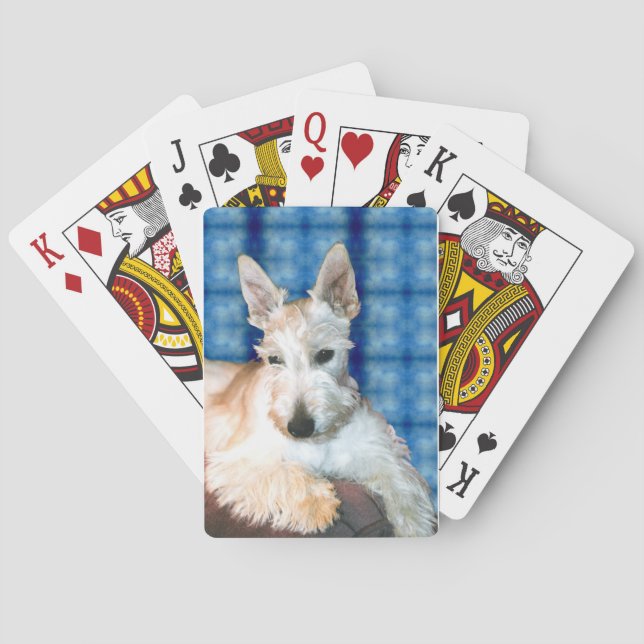 Cartas de juego de Wheaten Scottie (Reverso)