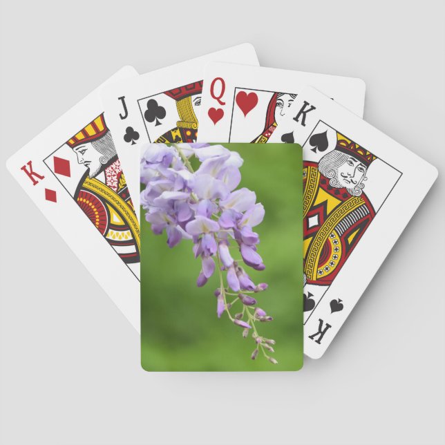 Cartas de juego de Wisteria (Reverso)