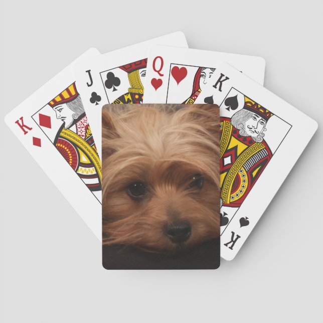 Cartas de juego de Yorkshire Terrier (Reverso)