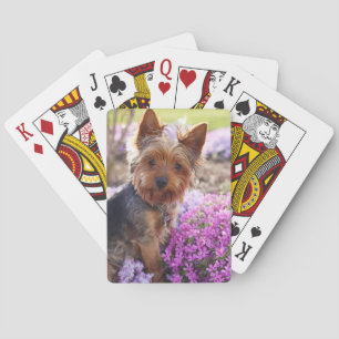 Cartas de juego de Yorkshire Terrier