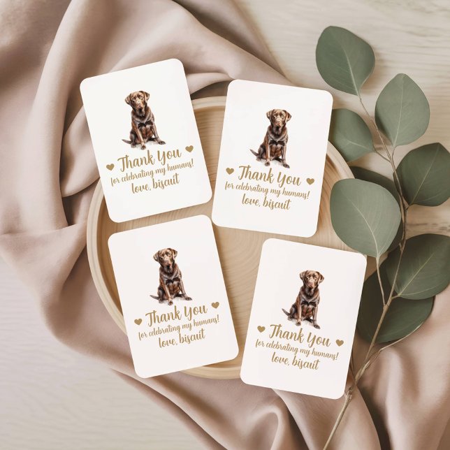 Cartas de juego del favorito de la boda del perro (Subido por el creador)