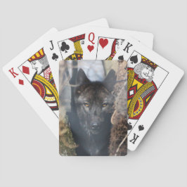 Cartas de juego del lobo negro