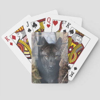 Cartas de juego del lobo negro